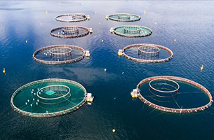 Application of INVT GD300-01A-EH in high-speed aerator