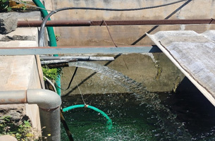 INVT SP100 Solar Water Pump Inverter Ensures Continuous Water Supply with EB Hybrid Function in India